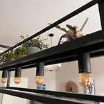 Appartement Am Paulsberg Mit Sauna - V4 *