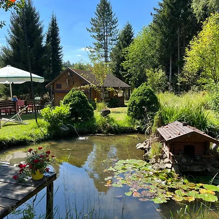 Am Paulsberg Mit Sauna - V4 Appartement Braunlage