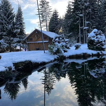 Appartement Am Paulsberg Mit Sauna - V4 *